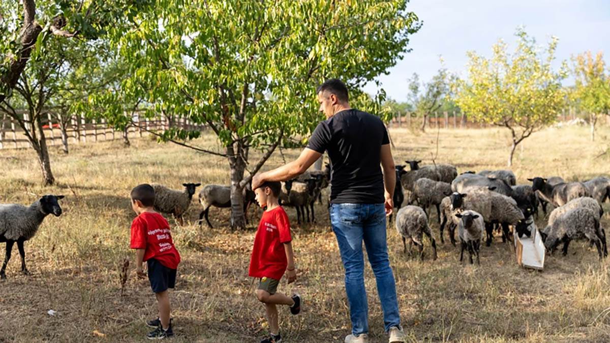 2Prk9kpTURBXy9lOGRlNmNmNTg3Y2JkNGQ3OGE0ODBjZjVjZmY4YjllOC5qcGeRkwLNAxYA3gABoTAF copy.jpg