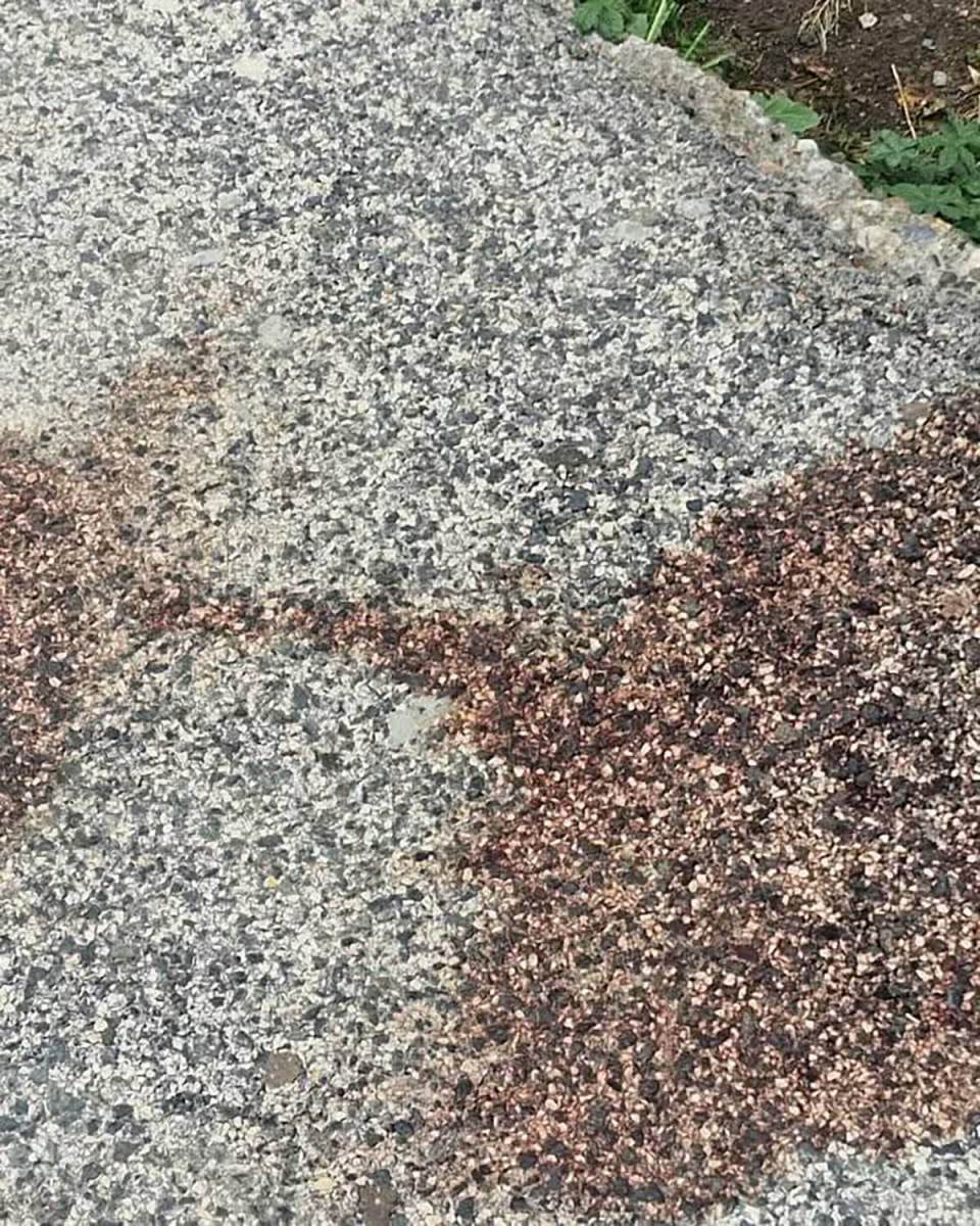 Policajac pao sa četvrtog sprata  (3).jpg