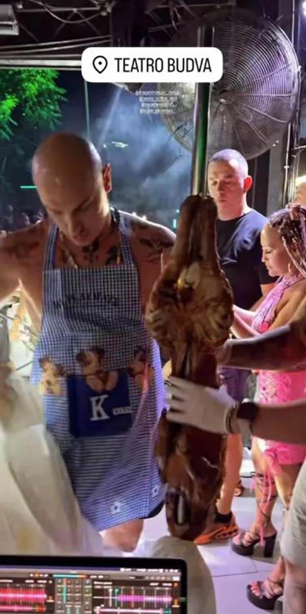 Desingerica jede jagnje na nastupu 1.jpg