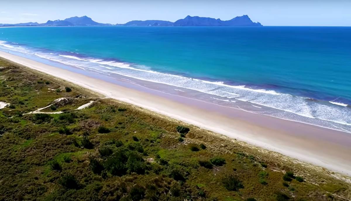 Screenshot 2025-08-27 101826.png