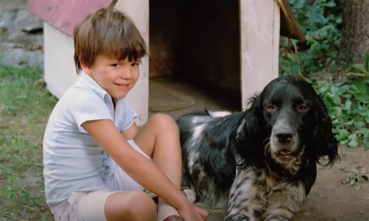 Varljivo leto (1).jpg