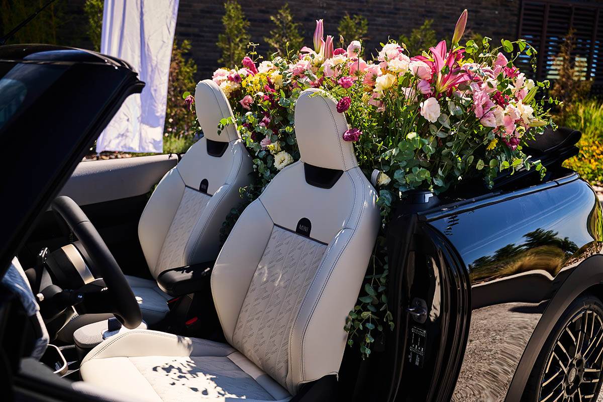 BMW MINI Event Vinarija EDEN  (7).jpg