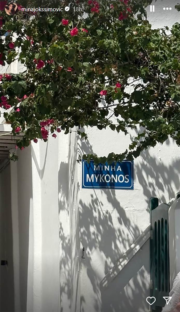 Mina Joksimović.jpg