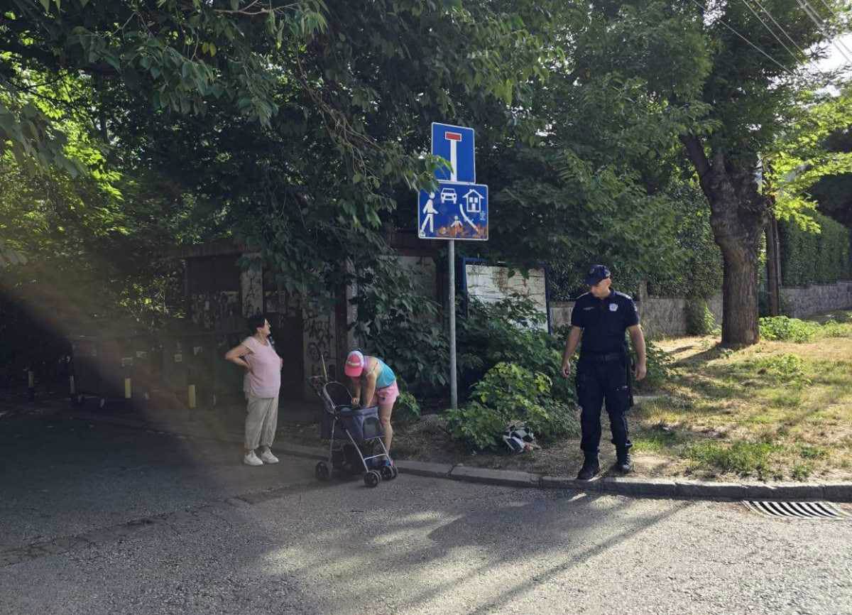 mesto gde je pronađena beba u Zemunu (8).jpg