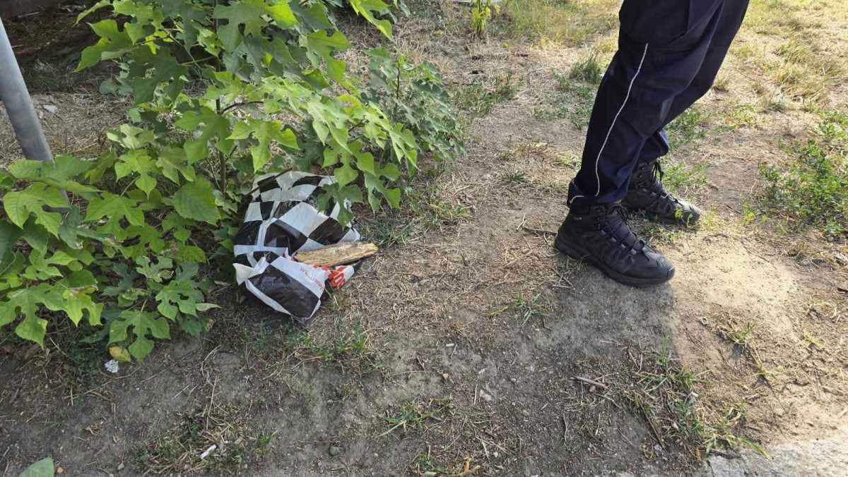 mesto gde je pronađena beba u Zemunu (9).jpg