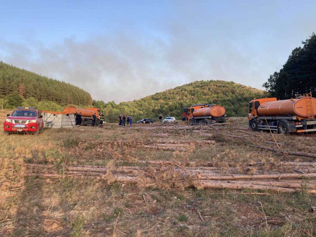 Veliki požar kod Niša (1).jpg