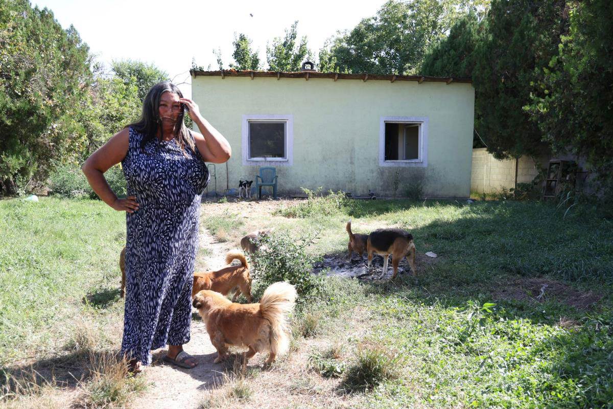 Kuća Snežane Pavlović  (5).jpg