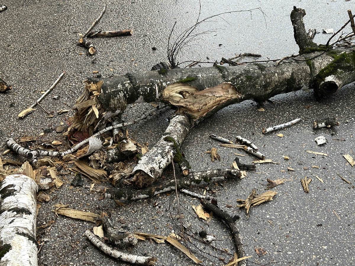 Jako olujno nevreme napravilo haos u Čačku (5).jpg