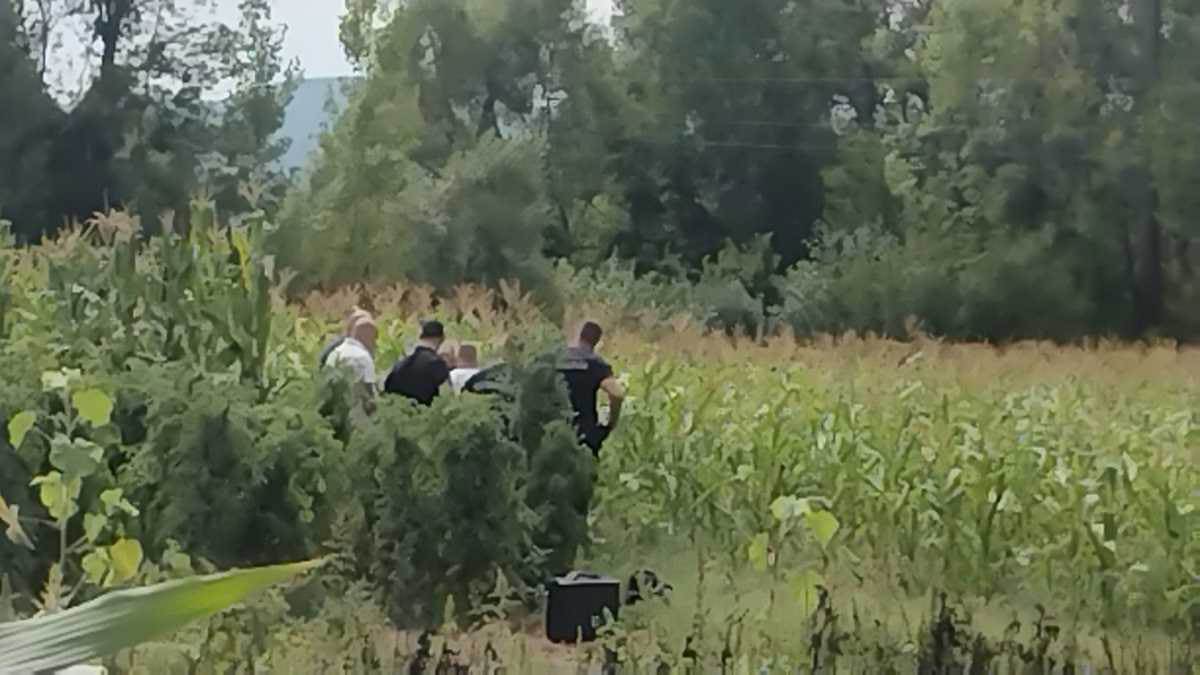 Ubistvo kod Svrljiga (6).jpg