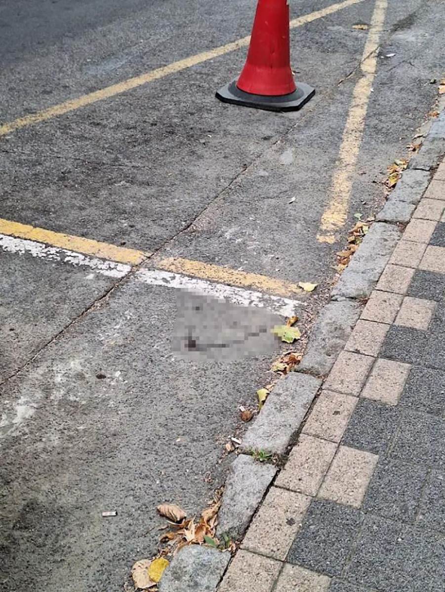 Ubistvo na Vračaru (1).jpg