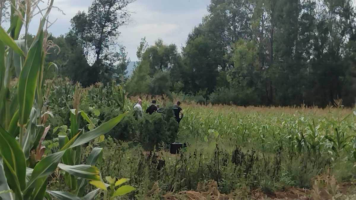 ubistvo u Svrljigu (6).jpg