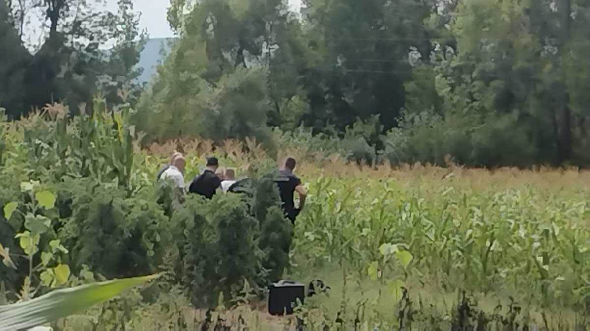 ubistvo u Svrljigu (7).jpg