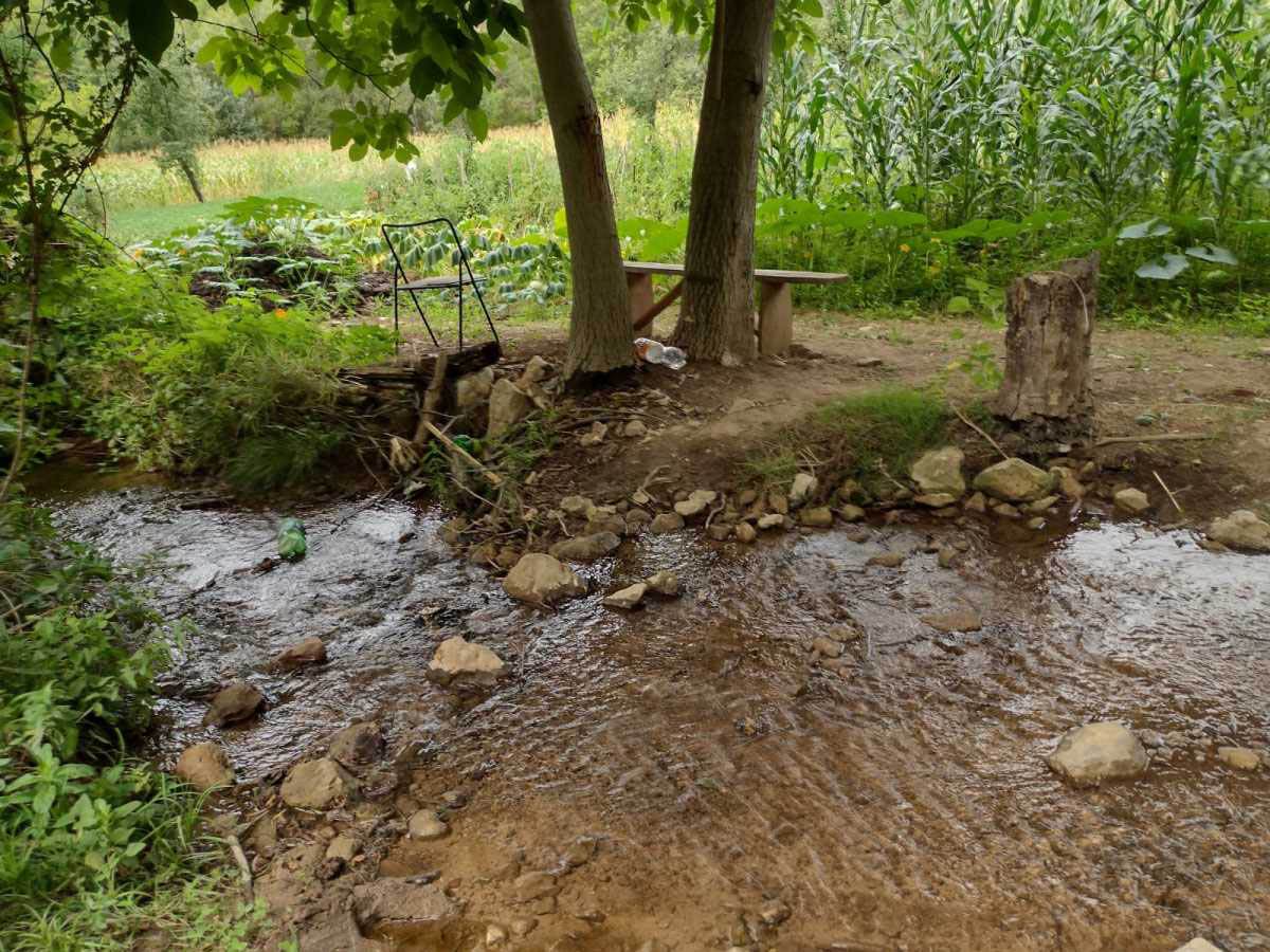 ubistvo u Svrljigu (1).jpg