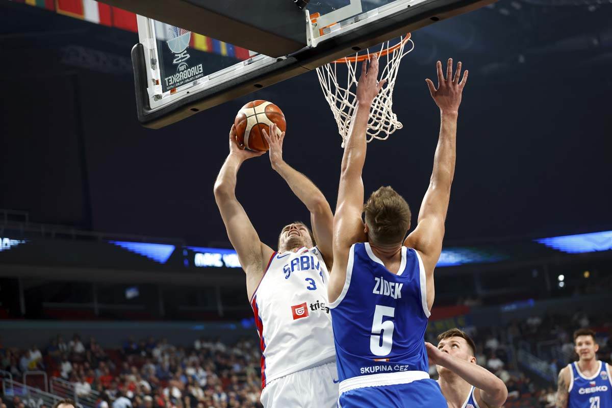 Srbije Češka 7.jpg