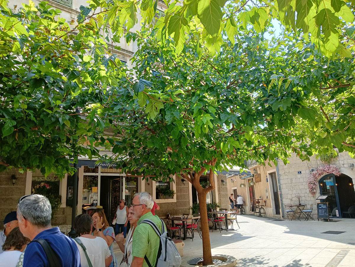 hrvatsko primorje (4).jpg