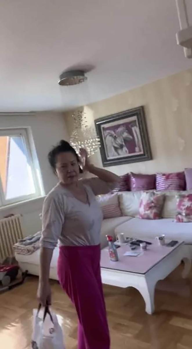 Stan Zlate Petrović (2).jpg