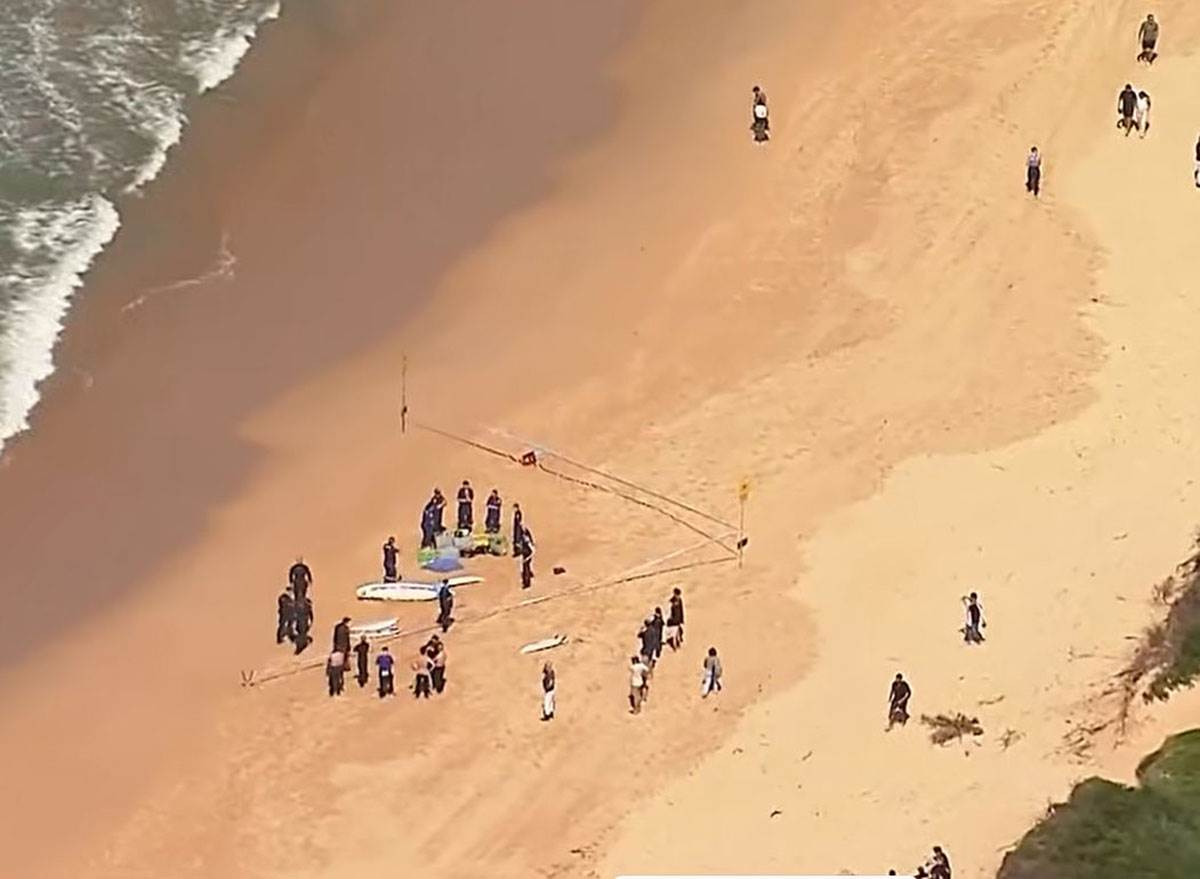 Ajkula u sidneju (5).jpg