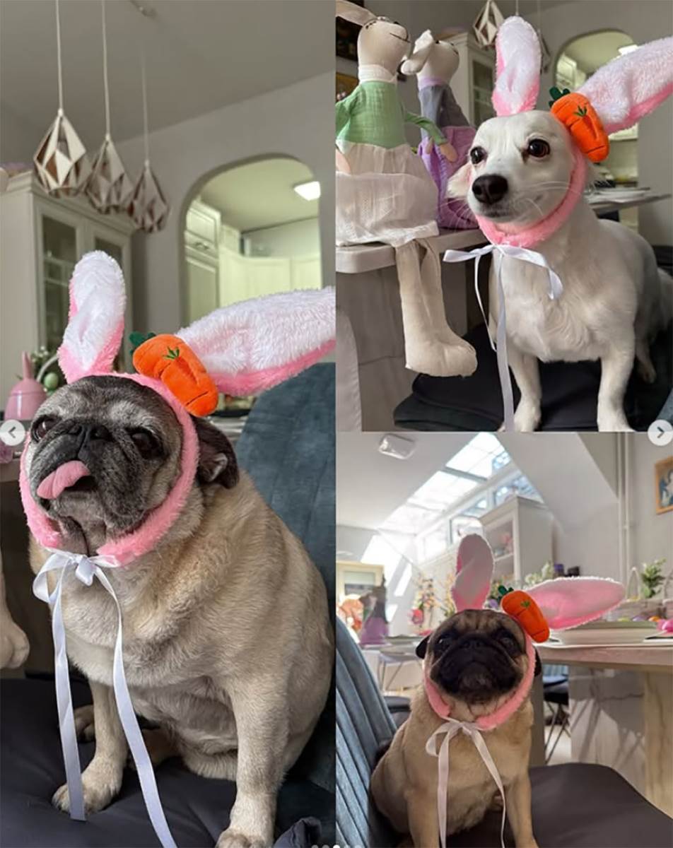 Lea Stanković i verenik i Lea Stanković porodica (5) copy.jpg