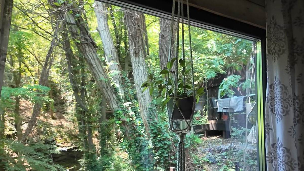 Američki bračni par u Srbiji