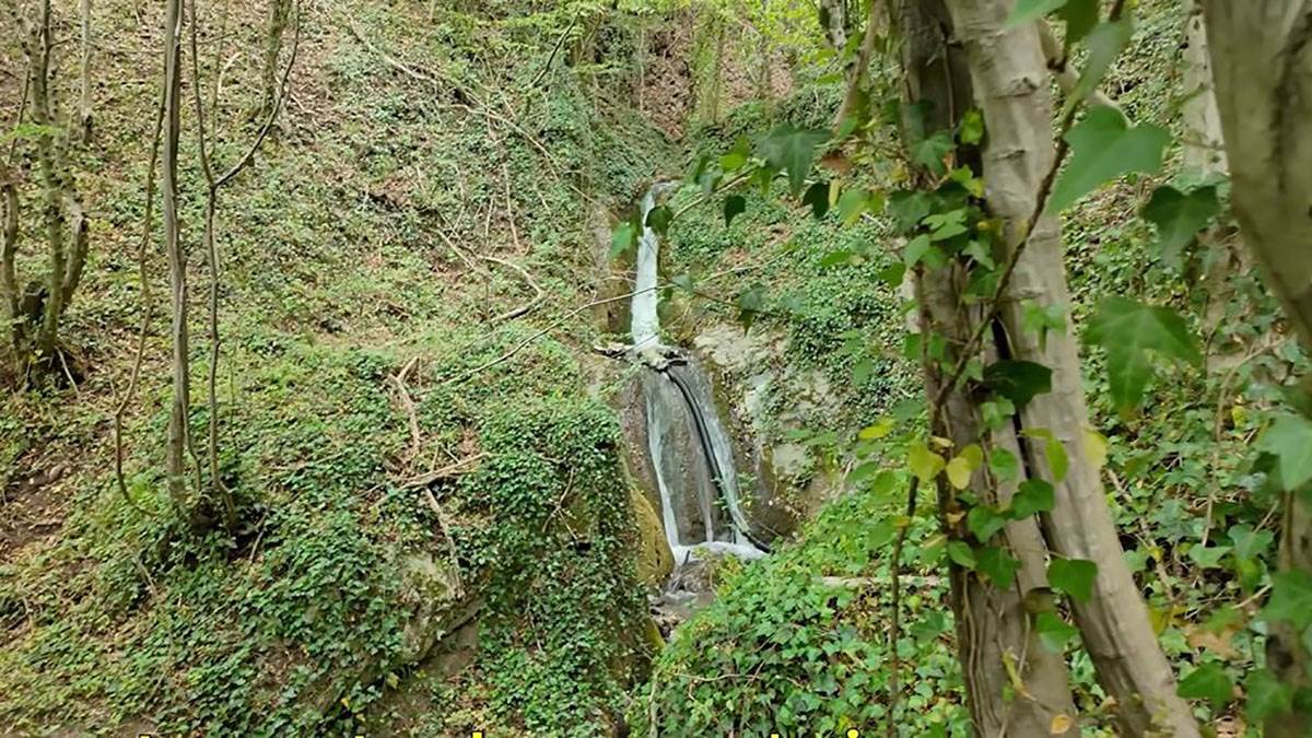 Američki bračni par u Srbiji