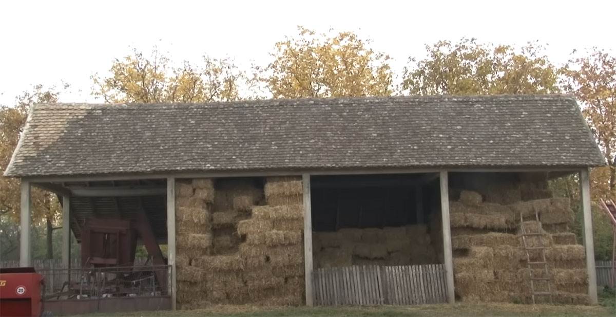 Dragan se greje na biomasu za 20 evra mesečno (4).jpg