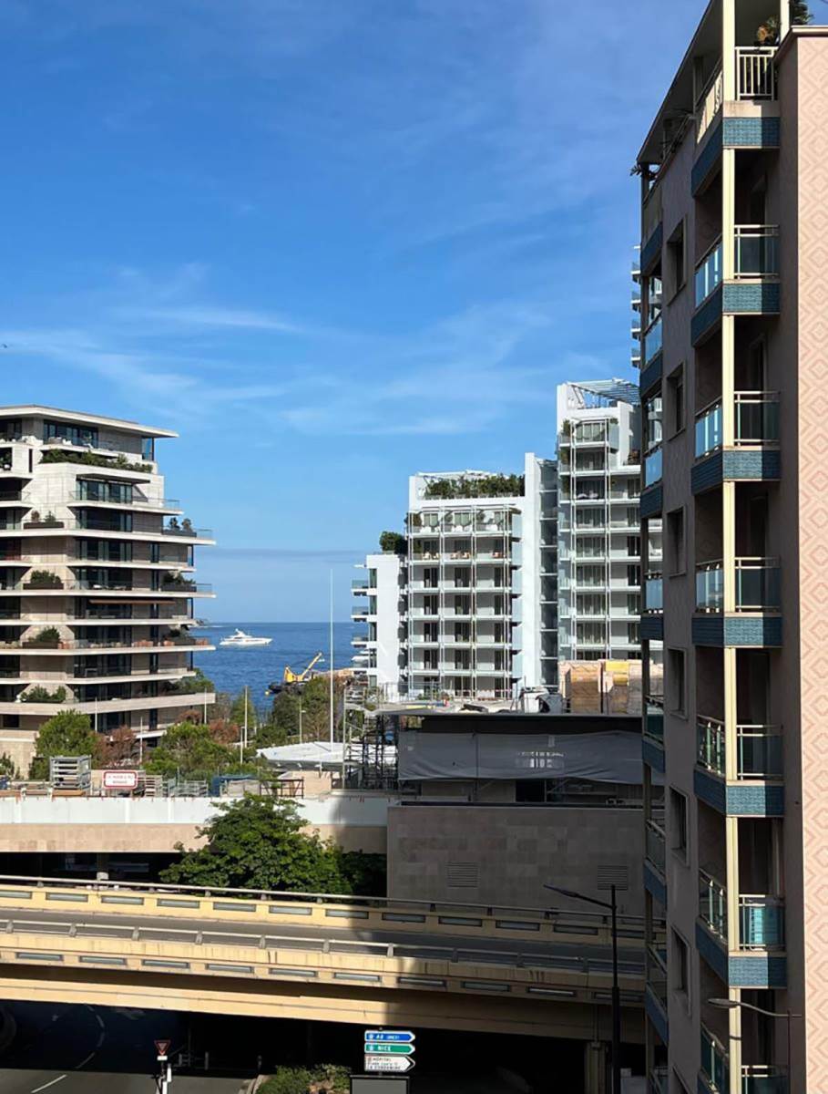 Stan Lepe Brene u Monte Karlu (1).jpg