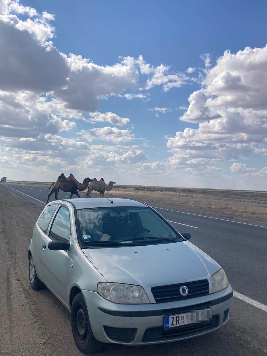 Ljubica Stanković Fiat Punto (17).jpg