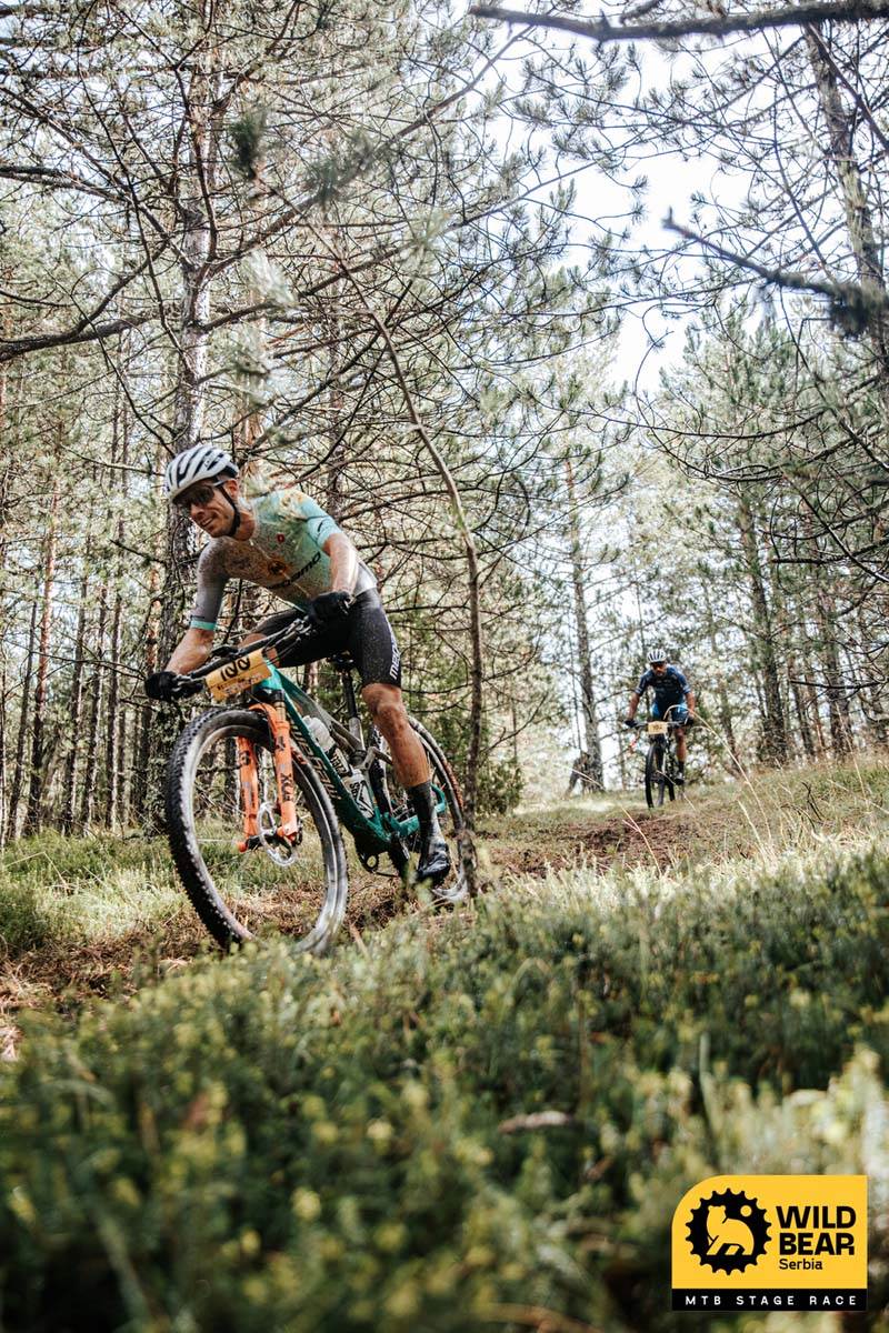 Wild bear-Photo-ShadowHunter (33 of 1228)-2.jpg