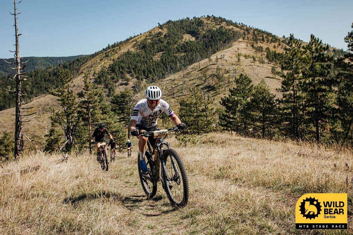 Wild bear-Photo-ShadowHunter (208 of 737)-2.jpg