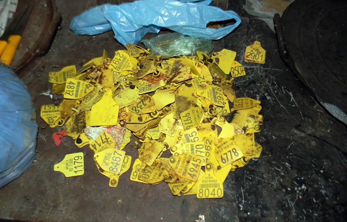 otkrivena nelegalna klanica u Ratkovu (2).jpg