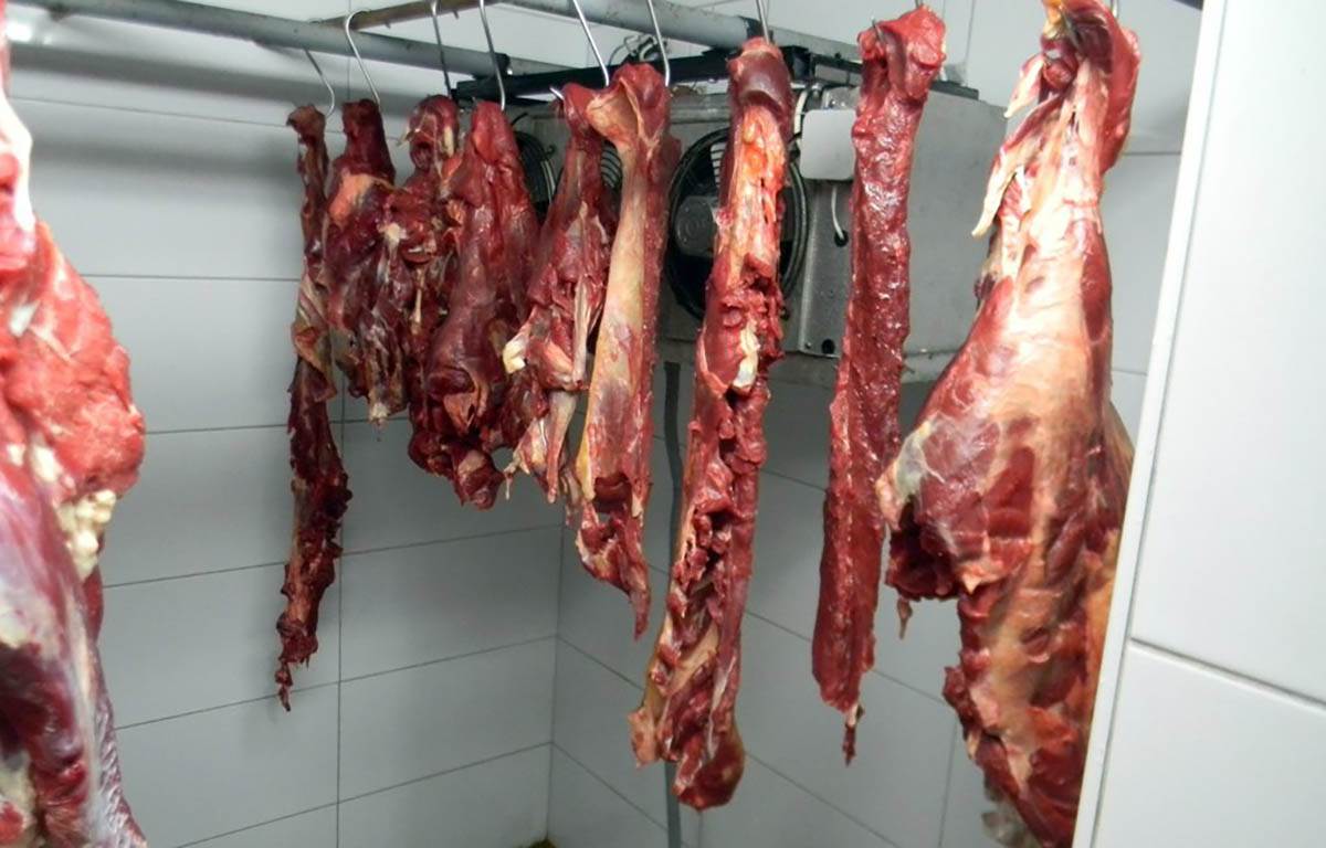 otkrivena nelegalna klanica u Ratkovu (4).jpg