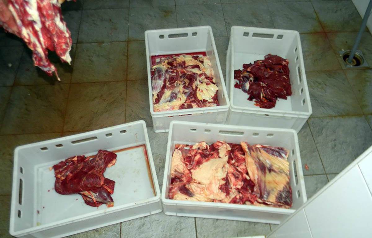 otkrivena nelegalna klanica u Ratkovu (5).jpg