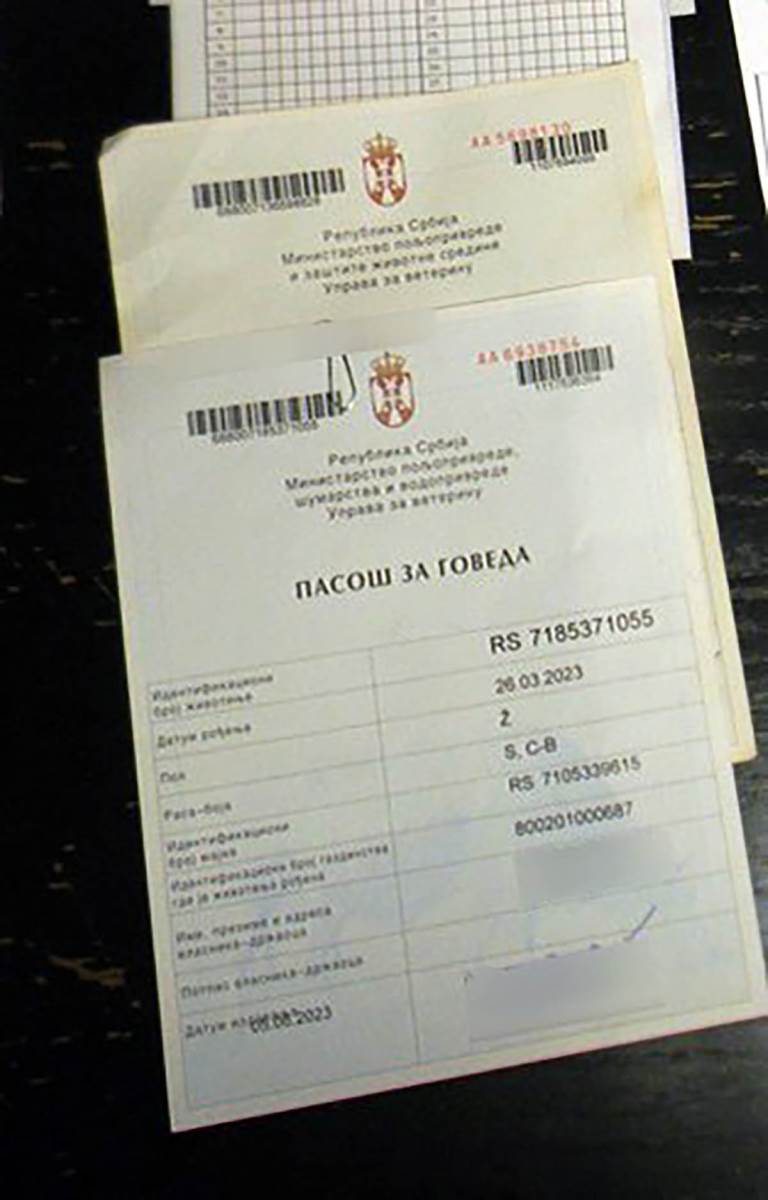 otkrivena nelegalna klanica u Ratkovu (8).jpg