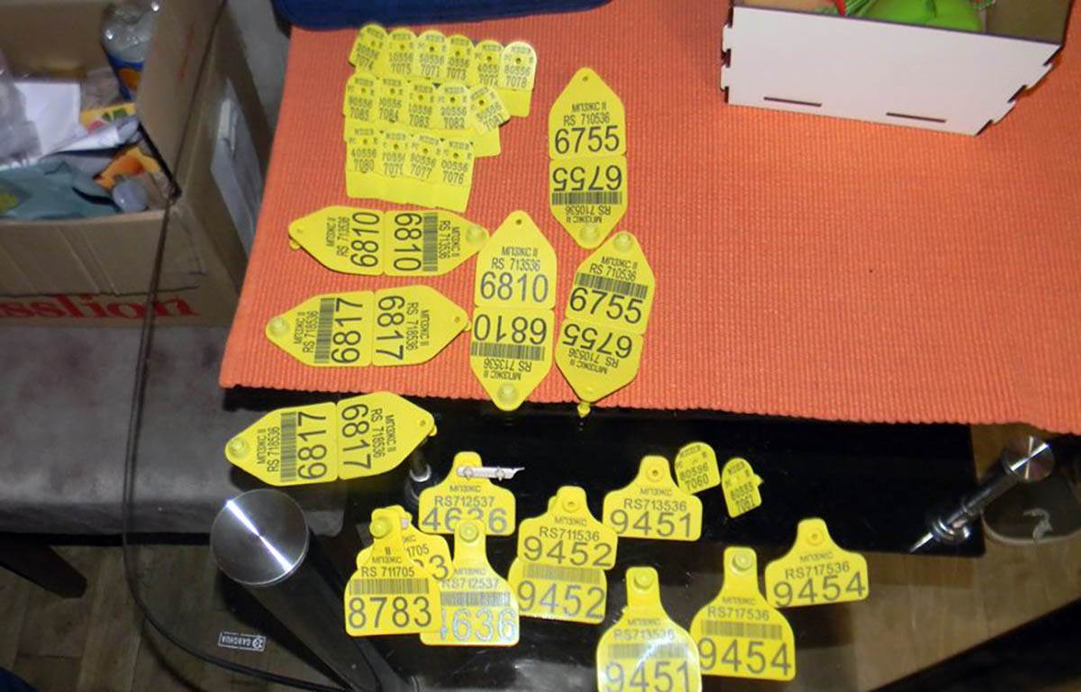 otkrivena nelegalna klanica u Ratkovu (9).jpg