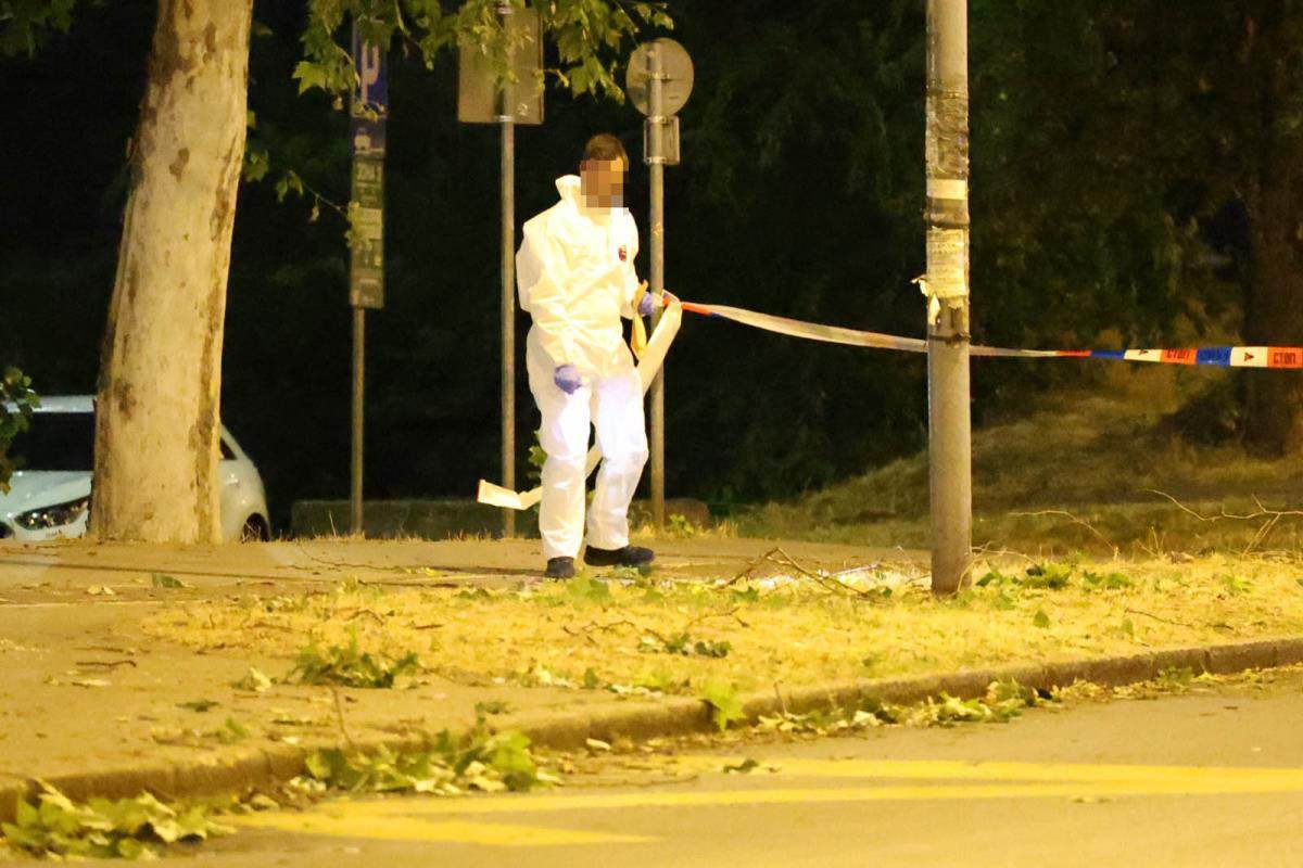 Nenad Alajbegović Alibeg, pucnjava na Novom Beogradu (13).jpg