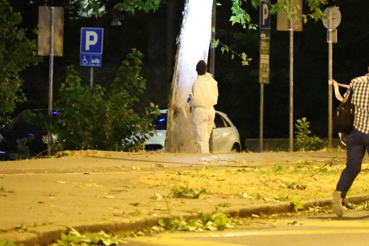 Nenad Alajbegović Alibeg, pucnjava na Novom Beogradu (16).jpg