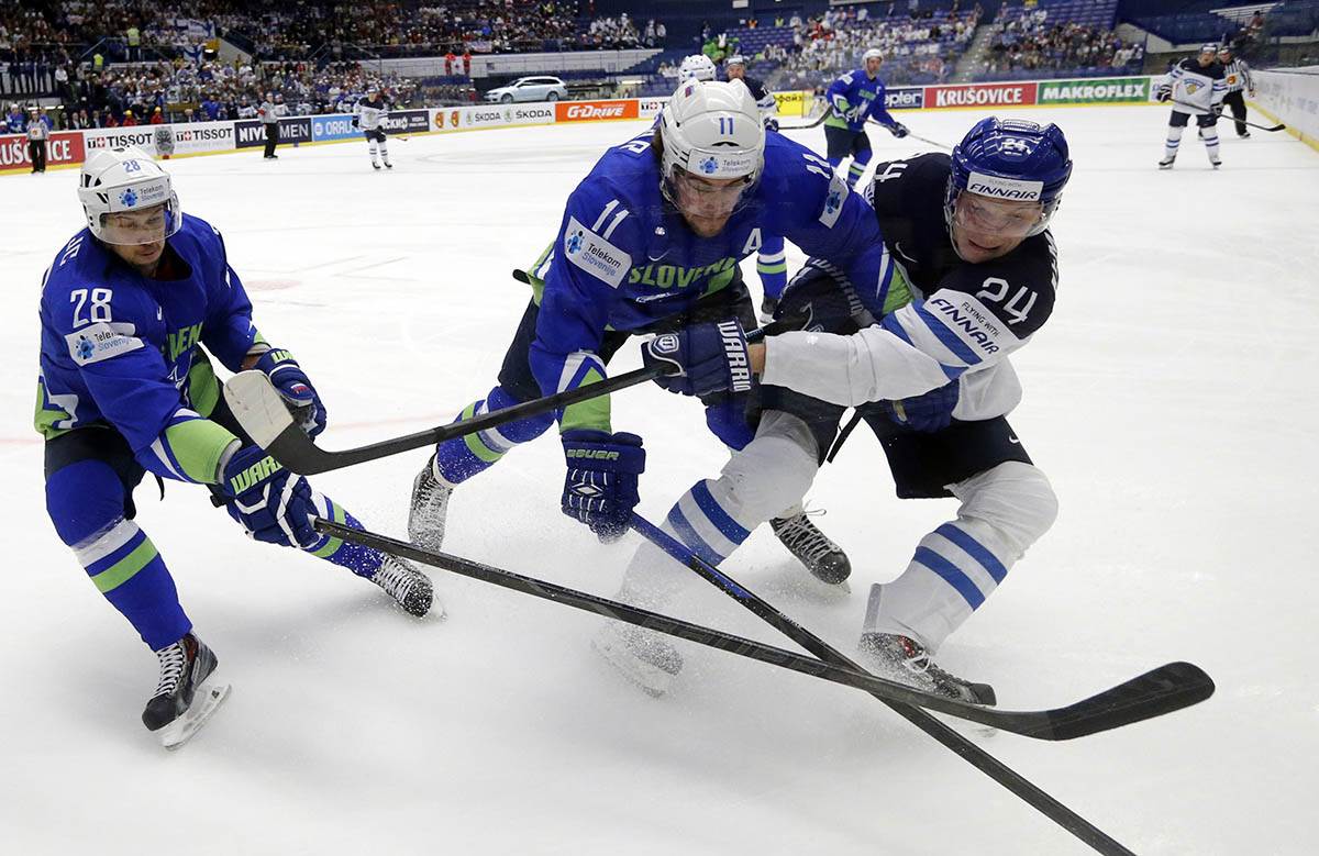 Anže Kopitar (1).jpg