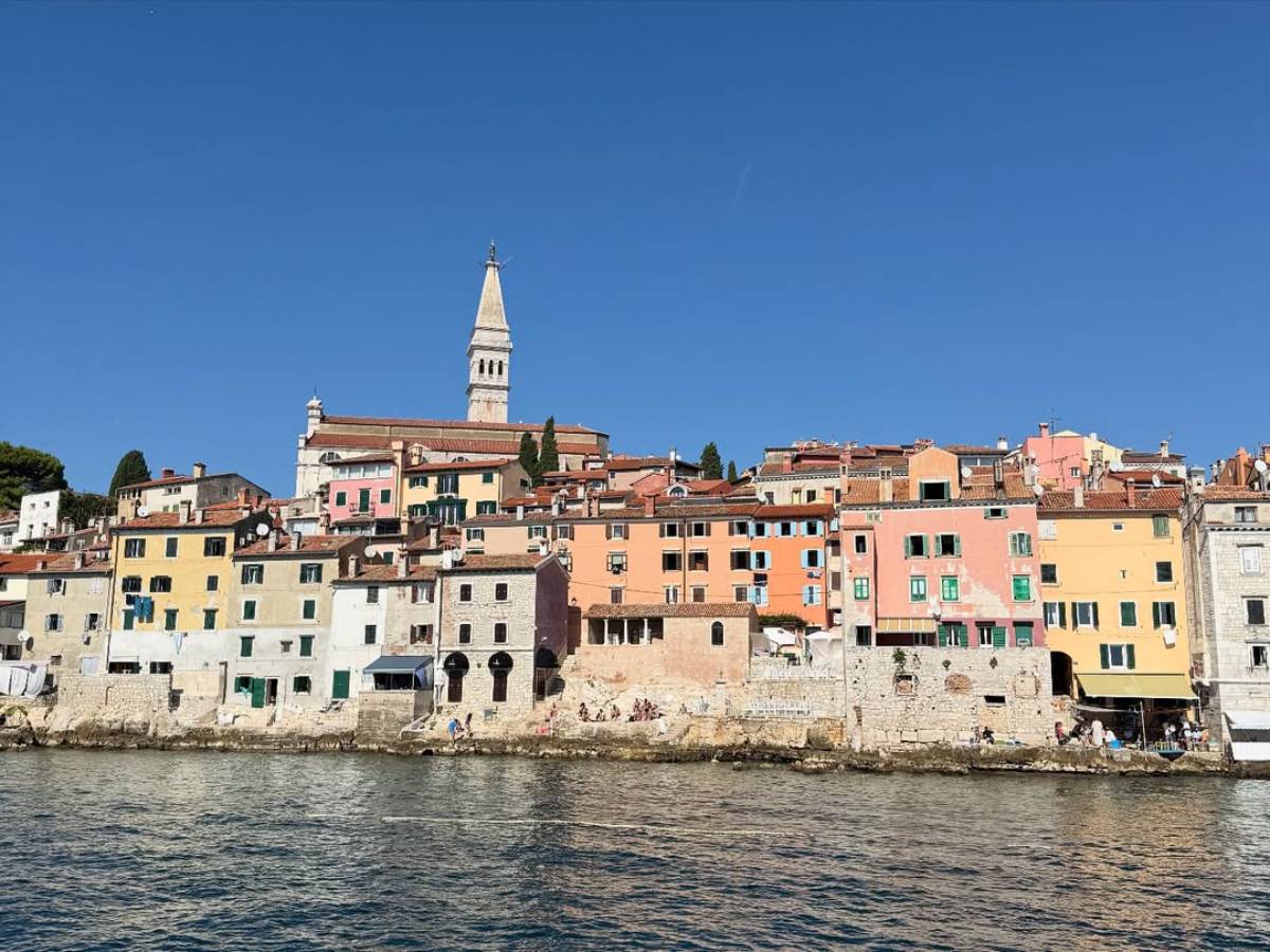 Viktor Živojinović