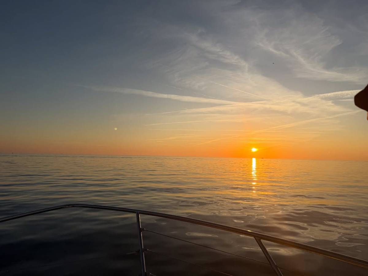 Viktor Živojinović