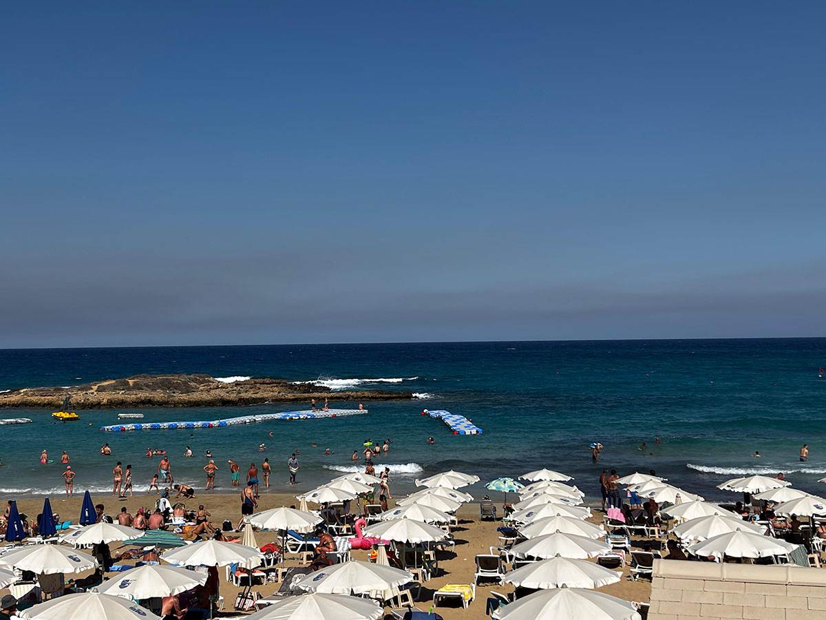 Fig tree plaza na Kipru (1).jpg