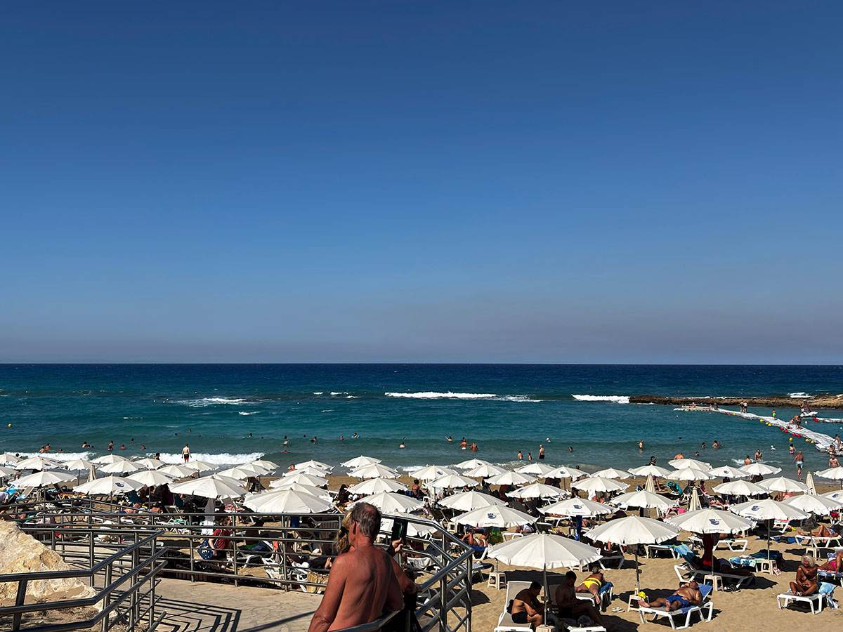 Fig tree plaza na Kipru (2).jpg