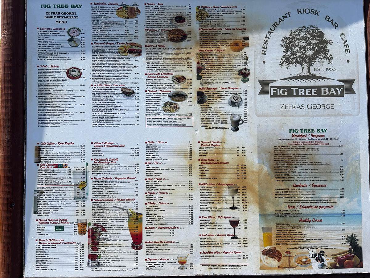 Fig tree plaza na Kipru (3).jpg