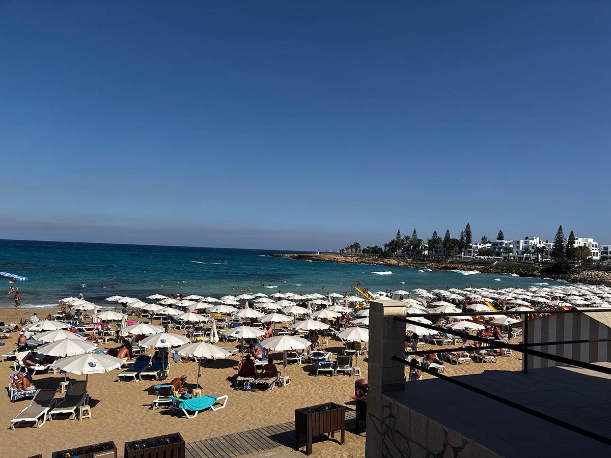 Fig tree plaza na Kipru (4).jpg