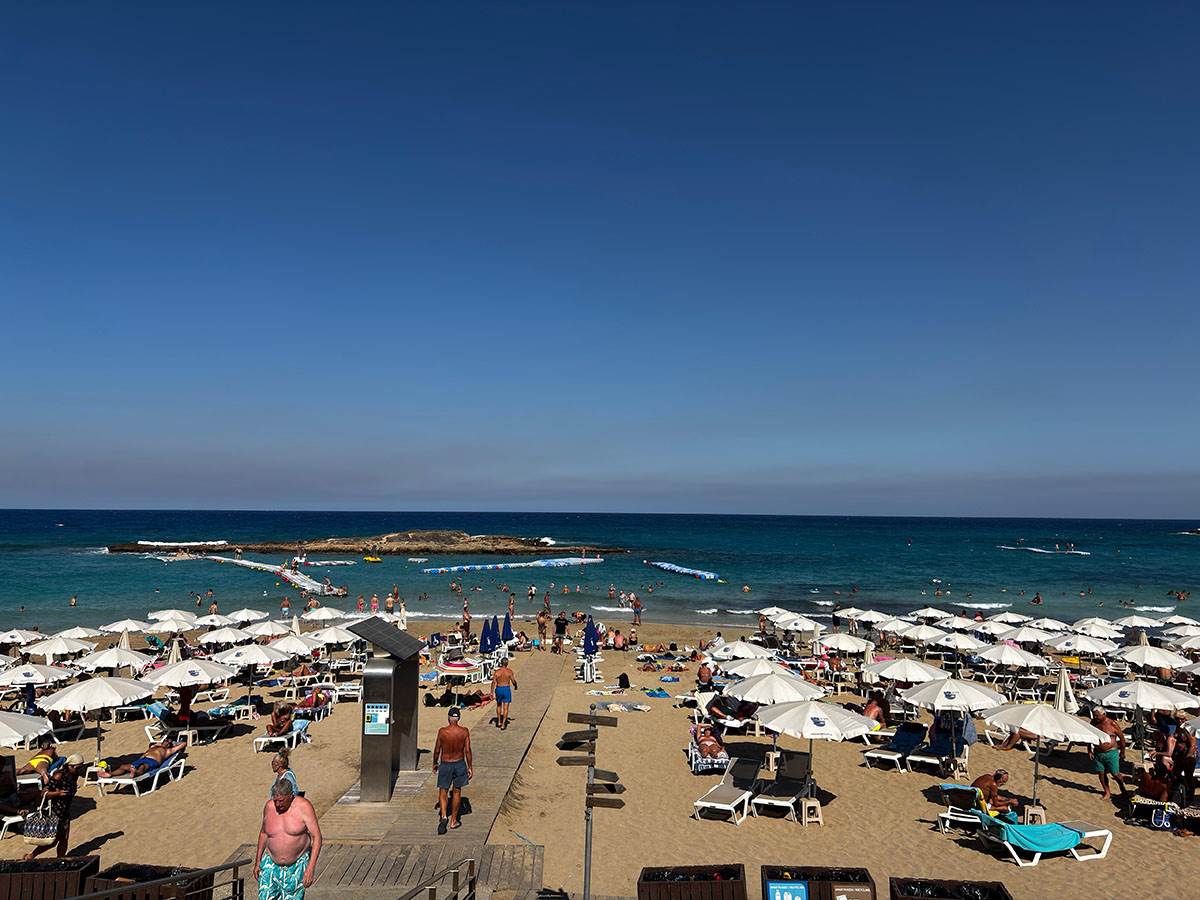 Fig tree plaza na Kipru (5).jpg