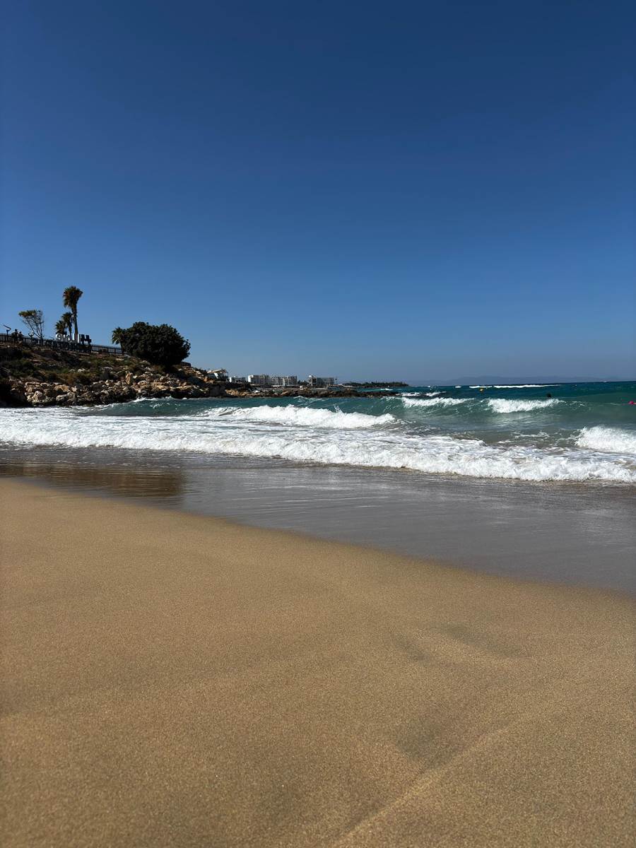 Fig tree plaza na Kipru (7).jpg