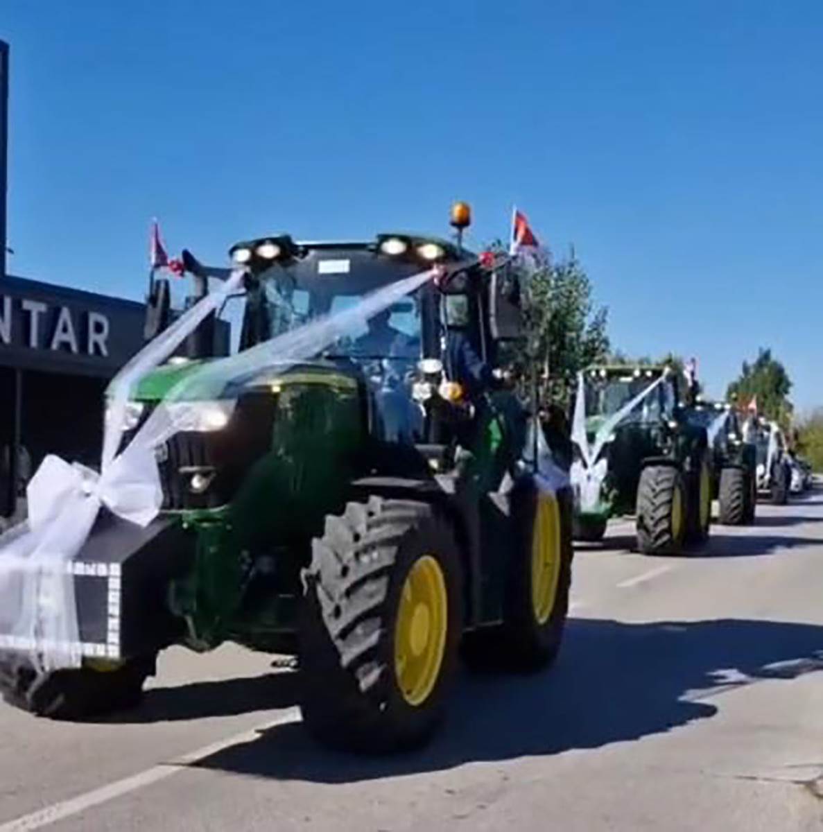 mladenci u Bačkoj Palanci na venčanje stigli kombajnom (5).jpg
