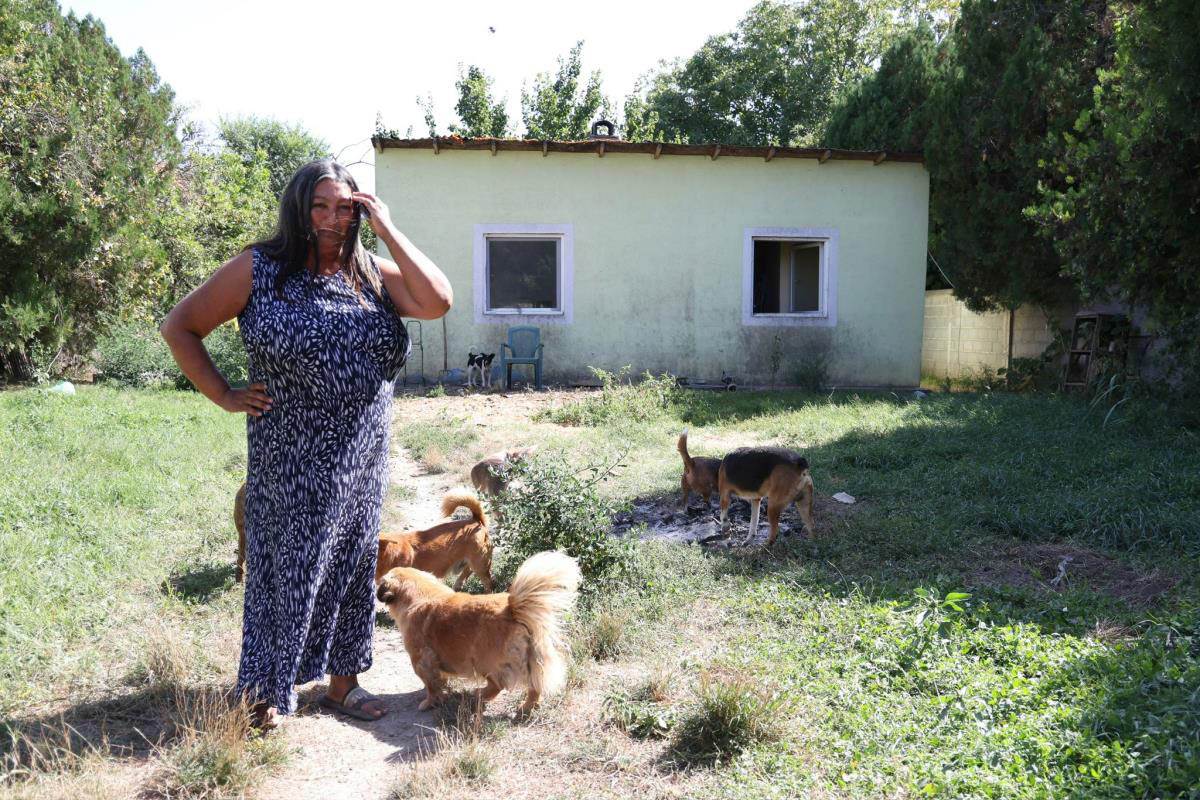 Kuća Snežane Pavlović (7).jpg