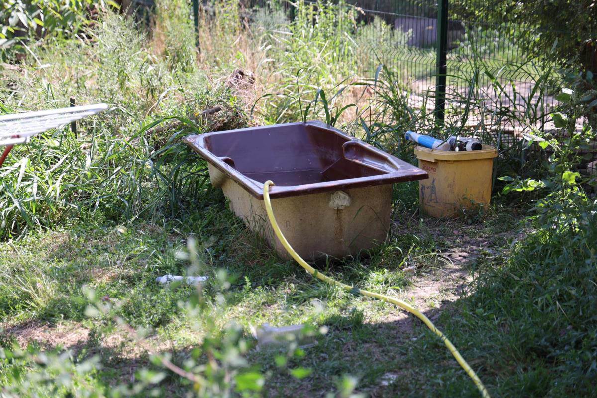 Kuća Snežane Pavlović (16).jpg