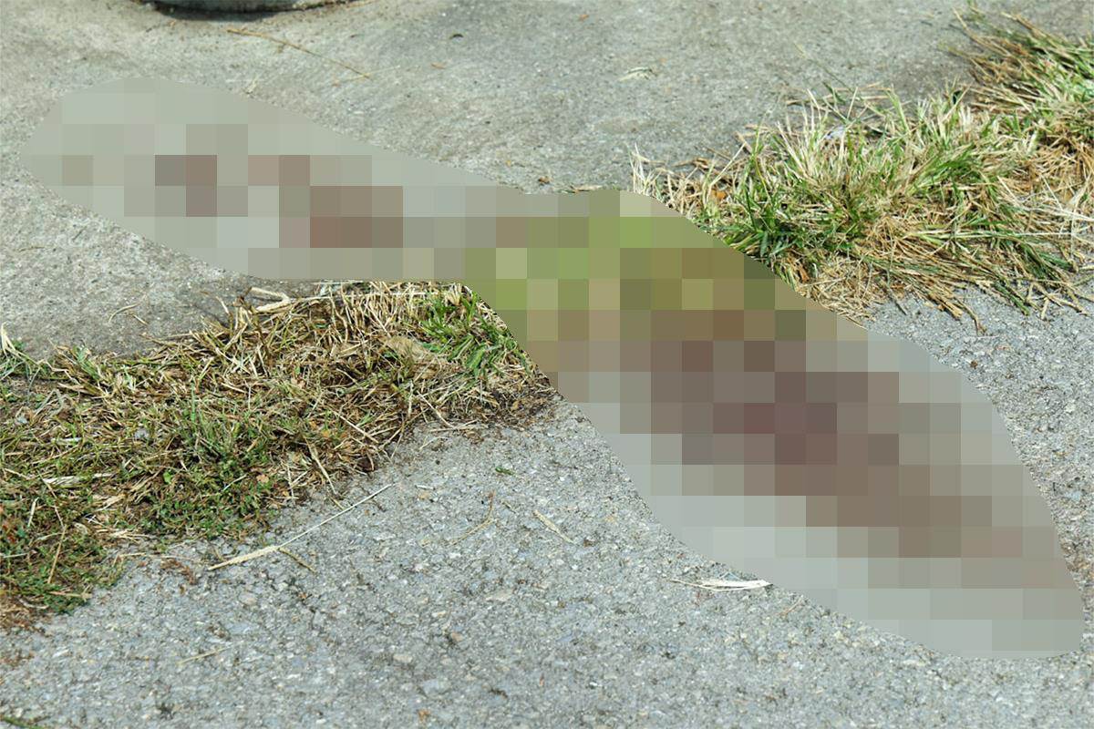 Tragovi krvi na pijaci u Debeljači  (4).jpg