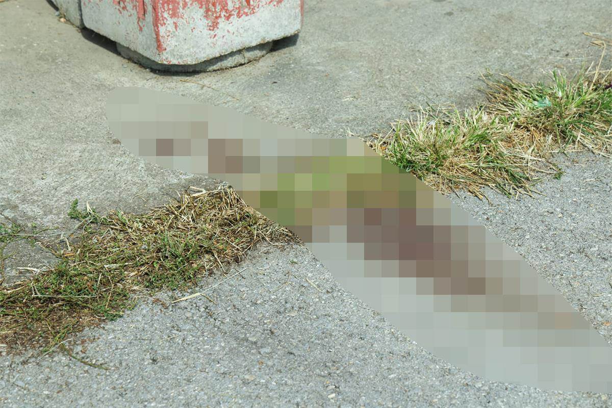 Tragovi krvi na pijaci u Debeljači  (6).jpg